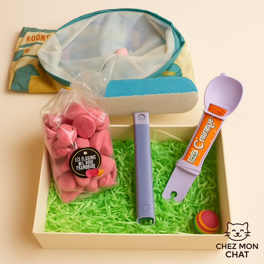 BOX DUO (Maître & Chat)