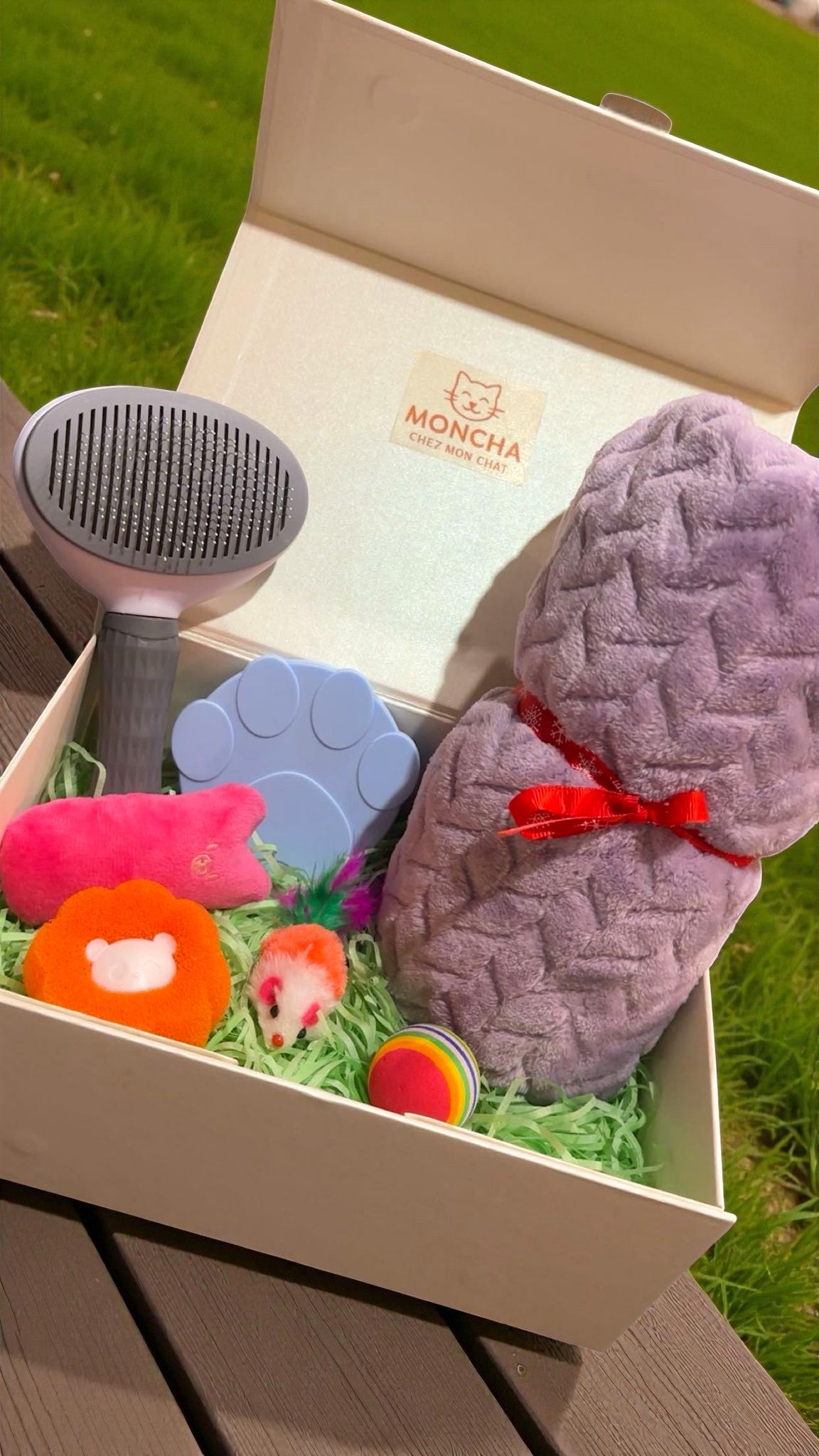 Box de jouets pour chat 🐱