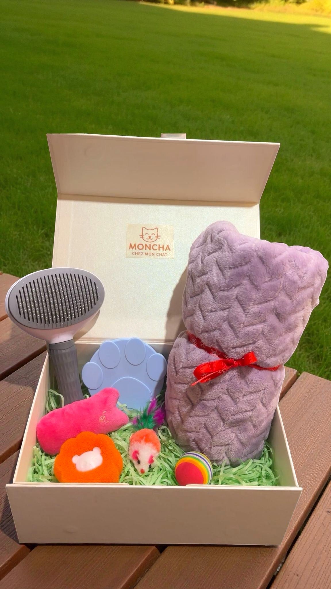 Box de jouets pour chat 🐱