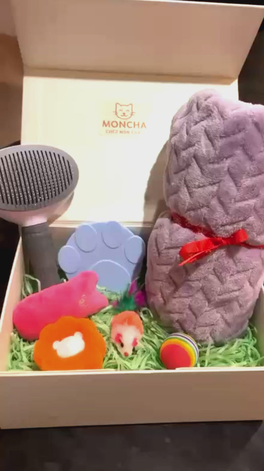 Box de jouets pour chat 🐱